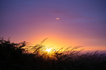 Fototapeta na wymiar Sunset With Silhouetted Grass