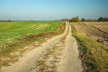 Fototapeta na wymiar Sandy road through fields to the horizon