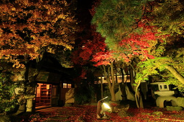 紅葉ライトアップの南昌荘