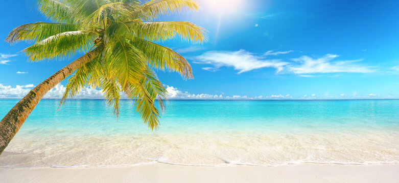 Beautiful natural tropical landscape, beach with white sand and Palm tree leaned over calm wave. Turquoise ocean on background blue sky with clouds on sunny summer day, island Maldives.