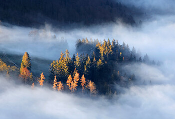 Wechselspiel aus Nebel und Sonne im Gebirge