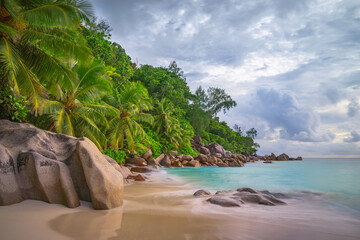palm trees on tropical beach anse georgette on praslin island. paradise on the seychelles - obrazy, fototapety, plakaty