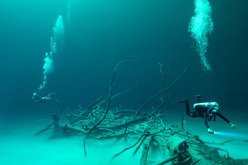 Cenote Angelita Underwater in Yucatan, Mexico
