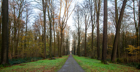 Jardin public en hiver