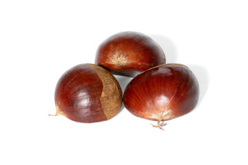 Group of fresh chestnuts isolated on the white background. Close-up and macro.