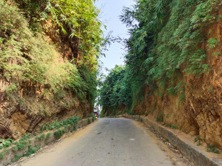 hill road, road between hill, green hill with tall grass and green leaves, hill soil, brown soil