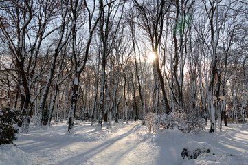 Gomel palace and park ensemble in winter. Belarus.