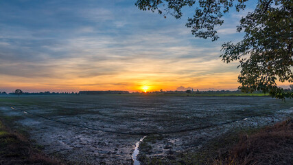 The beautiful green rice fields and sunrise
