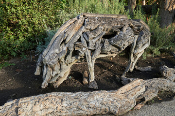 Fototapeta na wymiar tree sculpture pig