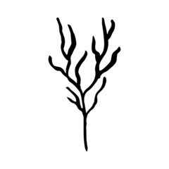 algae sea coral vector sign silhouette