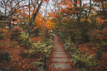 Fototapeta na wymiar 日本 京都 秋の宝匡院と紅葉景色