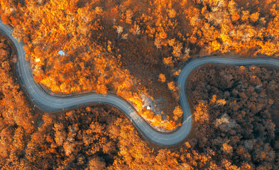 Aerial view and top view. Beautiful roads