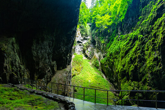 Macocha Abyss in Moravian Karst