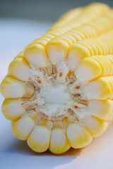 Closeup of a slice of sweet corn maize on the plate. Corn on the cob. Texture of cereals arranged in the pattern inside the cut section of sweet corn maize.
