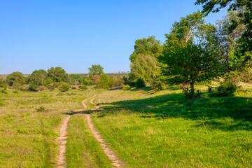 Fototapeta na wymiar Walking path on the green meadow 