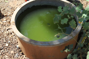 Cement pipe in Thailand