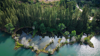 Aerial view of lake and pine forest at Liwong public park, Chana, Songkhla, Thailand