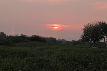 Fototapeta na wymiar sunset from green field
