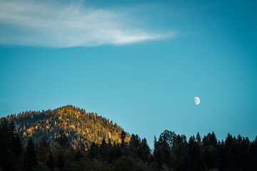 Bright moon in the mountains against the background of a ridge with fluffy Christmas trees on a blue sky
