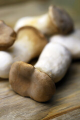 Selective focus. Macro. Raw eringi mushrooms on a wooden surface.