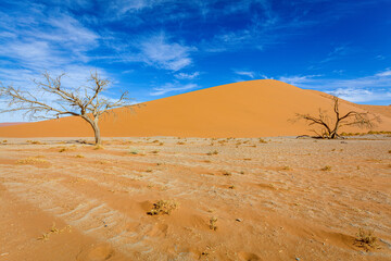 Fototapeta na wymiar Bacharn dunes at Soussusvlei, Namibia