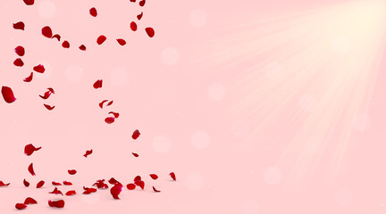 Red rose petals fly to meet the rays of the sun and fall to the floor