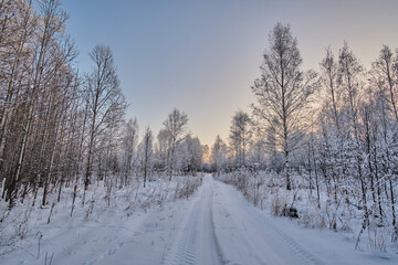 Fototapeta na wymiar Winter sunset. The forest road between the trees is covered with fresh white snow. Wheel prints in the snow.