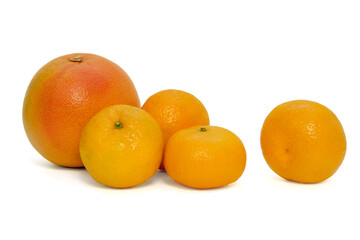 ripe tangerines and grapefruit on a white background