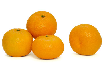 four tangerines on a white background