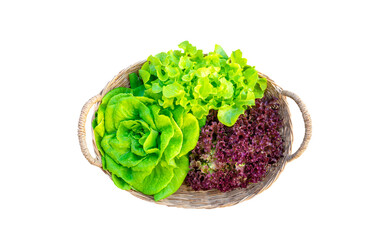 Lettuce in wicker basket isolated on white background with clipping mask.