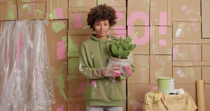 Apartment repair concept. Pleased dark skinned young woman with Afro hair holds potted cactus and paintbrush wears dirty sweatshirt renovates house. Remodeling and house improvement concept.