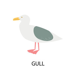 Illustration with gull. Cartoon character of bird.