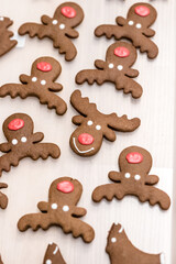 Art of home made christmas gingerbread - reindeer and other animals