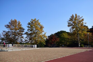 10月秋晴れの狭山公園