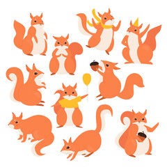 Squirrel vector illustration set. Cartoon cute funny furry squirrel characters collection, fluffy wild animals holding acorn or birthday balloon, wearing holiday hat and jumping isolated on white
