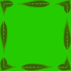 Fototapeta premium The picture is a frame with leaves, green leaves. Framework for project, business, presentation.