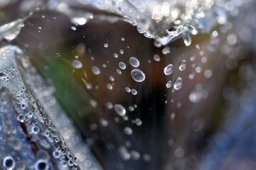Wassertröpfchen auf einer Plastikfolie