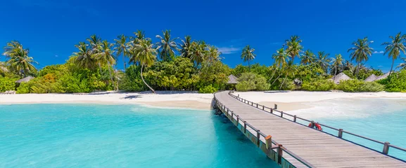 Fototapeten Bali Maldives island beach. Tropical landscape of summer scenery, white sand with palm trees. Luxury travel vacation destination. Amazing beach landscape, jetty over stunning blue lagoon, idyllic nature  © icemanphotos