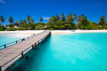 Fototapeta na wymiar Maldives island beach. Tropical landscape of summer scenery, white sand with palm trees. Luxury travel vacation destination. Amazing beach landscape, jetty over stunning blue lagoon, idyllic nature