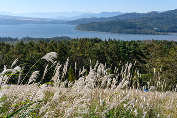 山中湖のパノラマ台