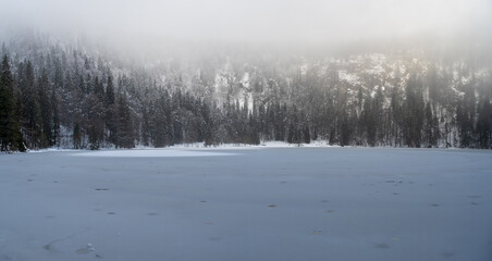 Feldsee am Feldberg im Schwarzwald