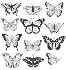 Fototapeta na wymiar Set of realistic black and white butterflies isolated on white background. Collection of vintage elegant illustrations of butterflies. Design elements for your project. Vector illustration