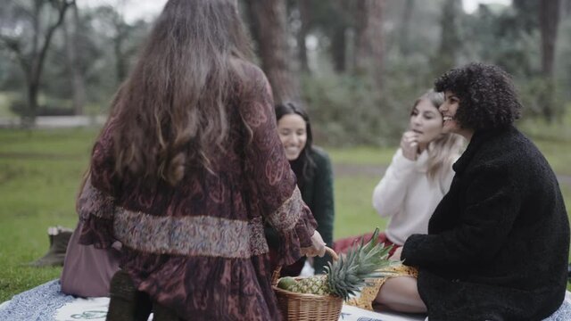 Womens day out picnic outing with friends at park