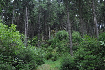 Broumovsko, Czech Republic