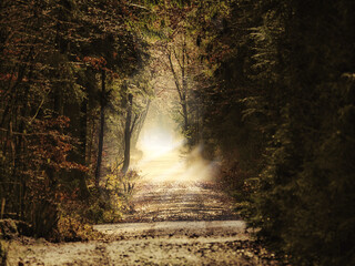 Licht am Ende des Weges