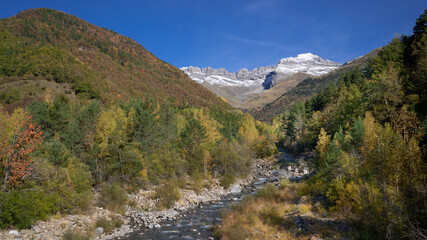 A small running stream through yellow autumn forest with Mount Perdido in background