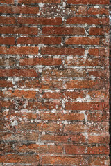red rectangular brick wall