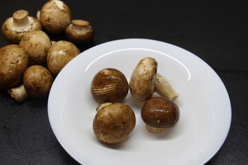 champignon mushrooms on black background