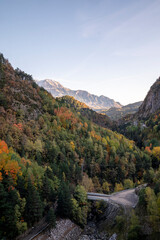 Upright photography of Autumn Tree valley with Mount Perdido in background, in Aragon,