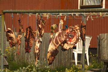 Meat drying in front of a house, Narsaq, Greenland, Denmark © Gabrielle